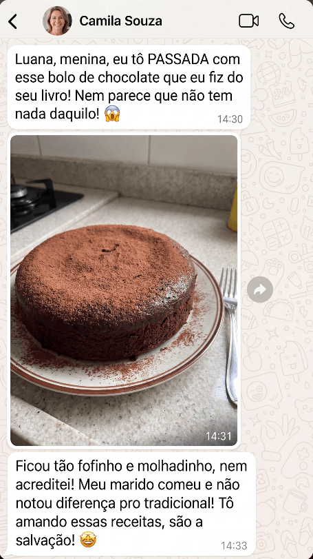 Print de conversa sobre as receitas 2