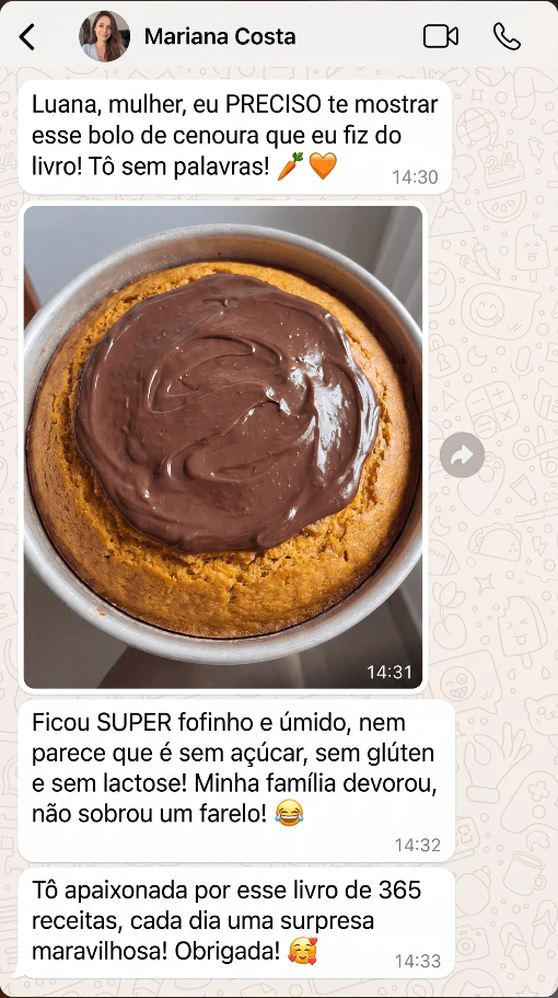 Print de conversa sobre as receitas 4